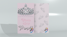 Flyer DIN A5 4/4 farbig + Sonderfarbe Silber